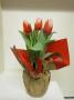 Tulip Canasta