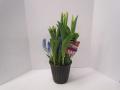 Tulip Town 8 inch