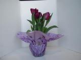 Tulip Deep River - purple