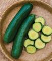 Cucumber Burpee Boost Gold Standard