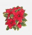 Poinsettia Tapestry Red