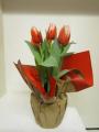 Tulip Canasta - red